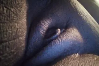 💋 INCALLS $60 FOR 15 MINS👄🍆 - Image 10