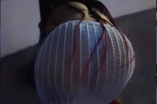 OUT CALLS ONLY DADDIES 😜😜🩷 - Image 1